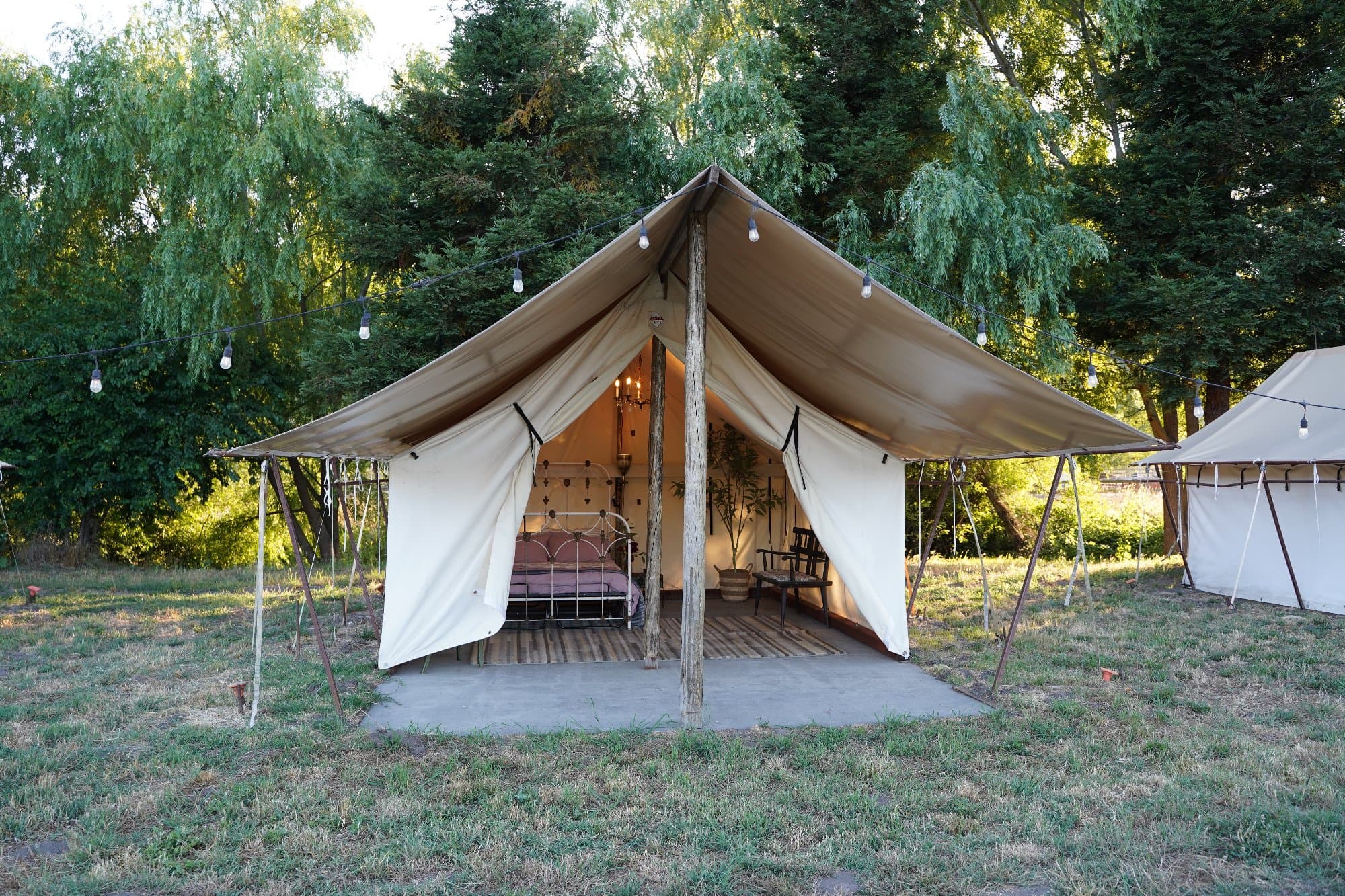 Zinnia Tent