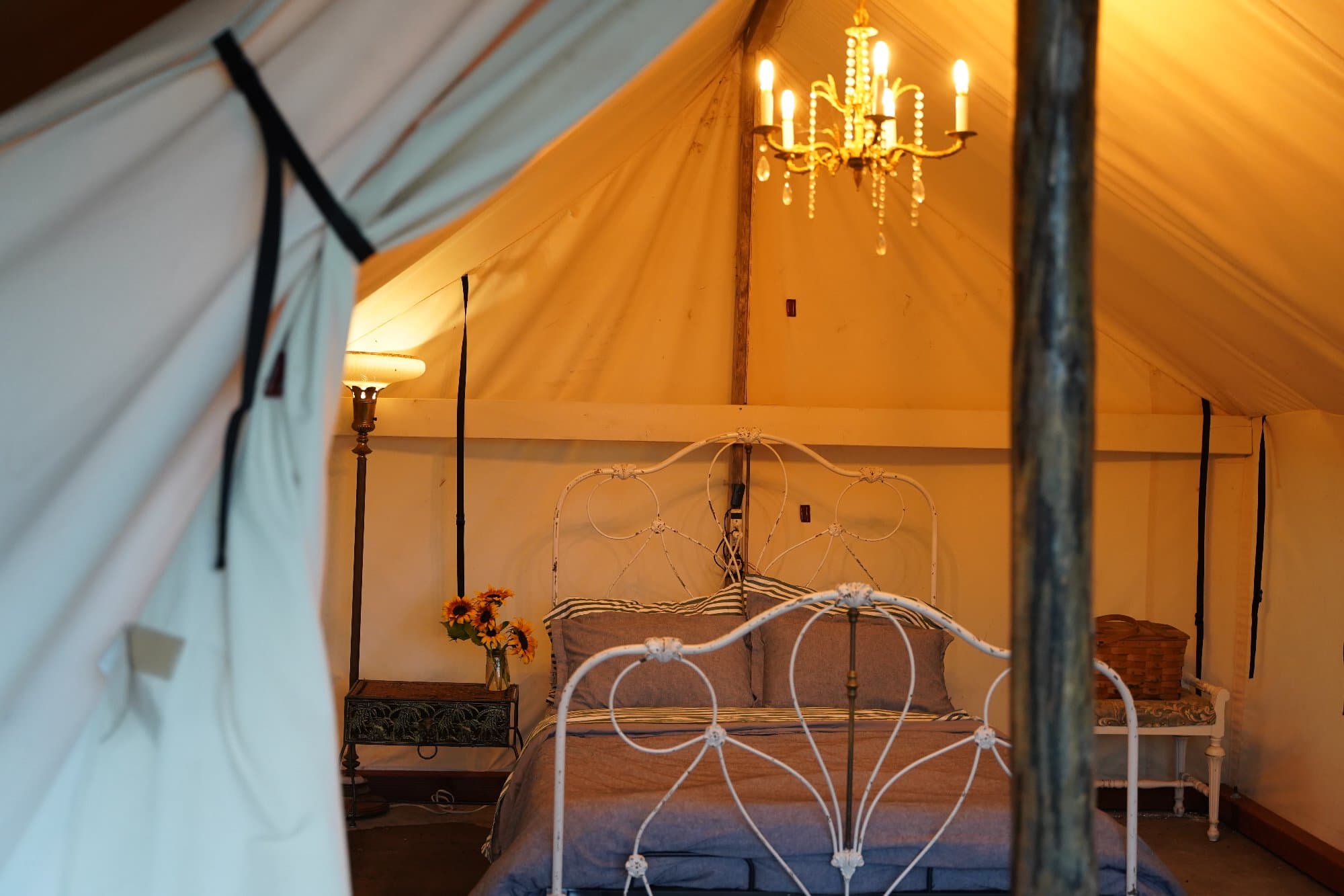 Sunflower Tent